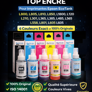 PACK BOUTEILLES D'ENCRE EPSON 673 100ML 6 COULEURS